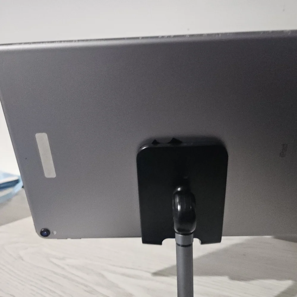 Apple iPad